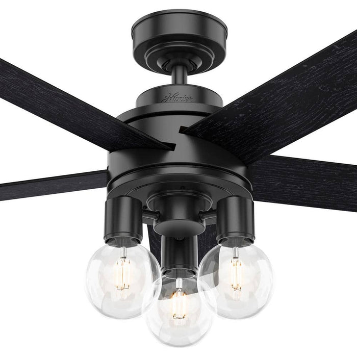 Hunter 52" Hardwick Ceiling Fan with LED Light Kit and Handheld Integrated Control System