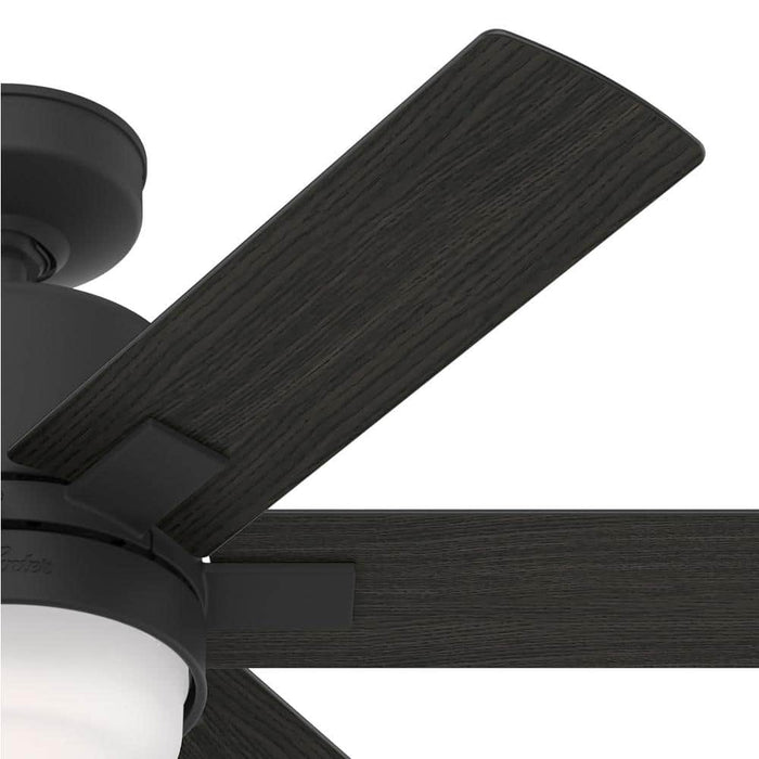 Hunter 44" Radeon Ceiling Fan with LED Light Kit and Wall Control