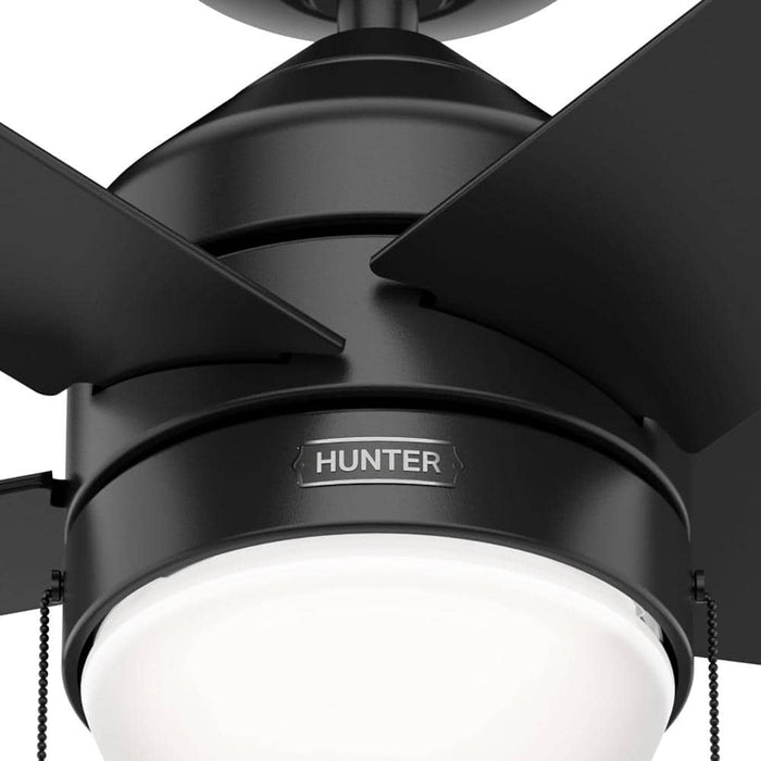 Hunter 44" Rogers Ceiling Fan with LED Light Kit and Pull Chains