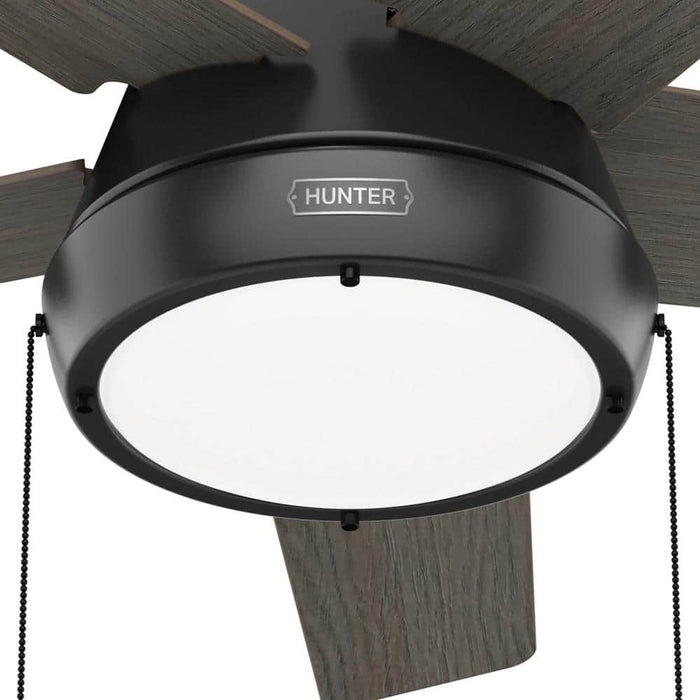 Hunter 44" Burroughs Ceiling Fan with LED Light Kit and Pull Chains