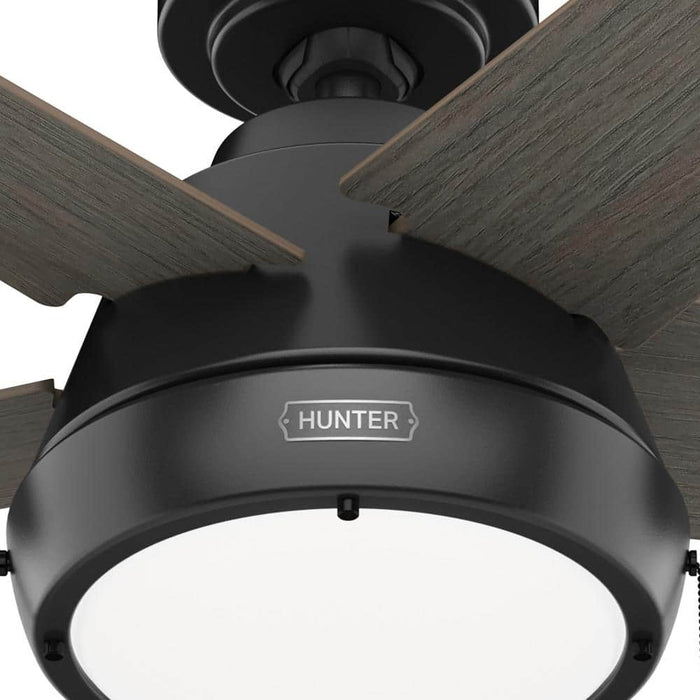 Hunter 44" Burroughs Ceiling Fan with LED Light Kit and Pull Chains