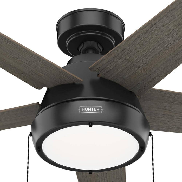 Hunter 44" Burroughs Ceiling Fan with LED Light Kit and Pull Chains