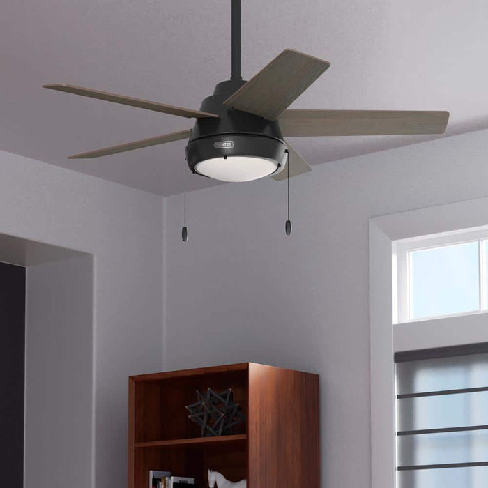 Hunter 44" Burroughs Ceiling Fan with LED Light Kit and Pull Chains