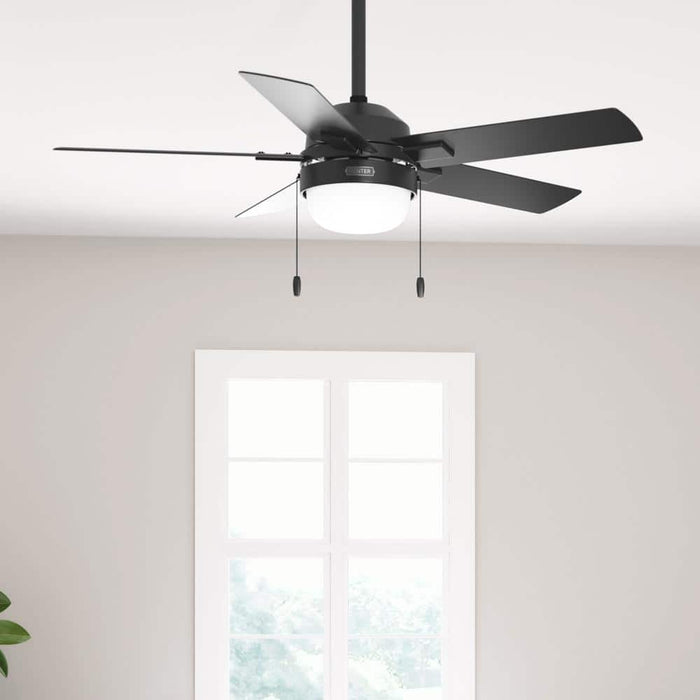 Hunter 44" Zeal Ceiling Fan with LED Light Kit and Pull Chains