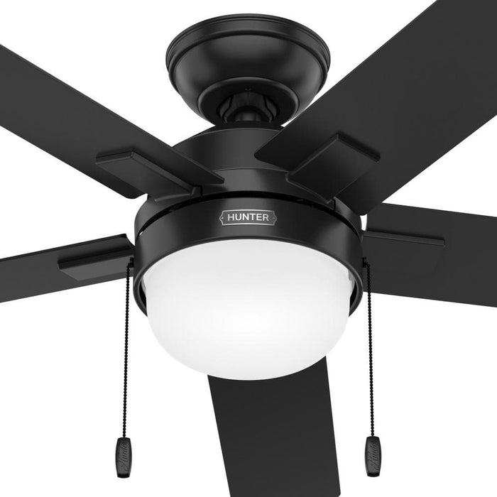 Hunter 52" Zeal Ceiling Fan with LED Light Kit and Pull Chains