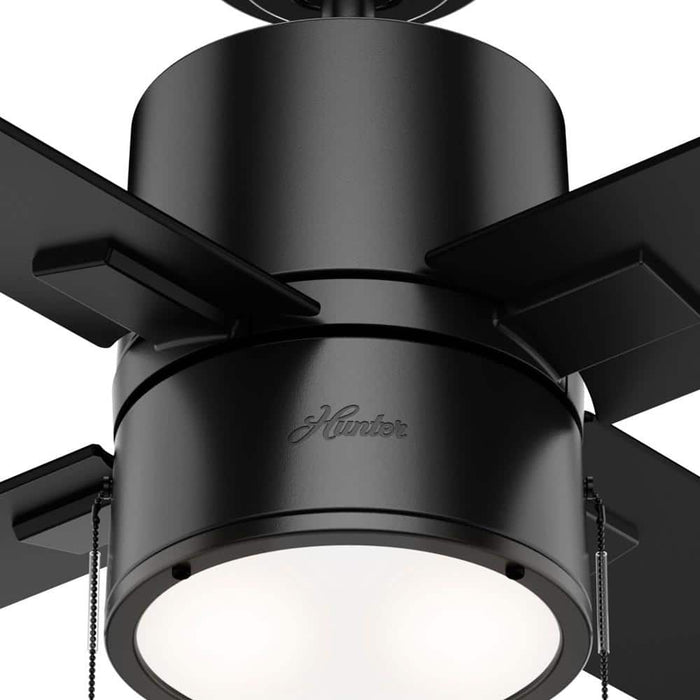 Hunter 52" Beck Ceiling Fan with LED Light Kit and Pull Chains