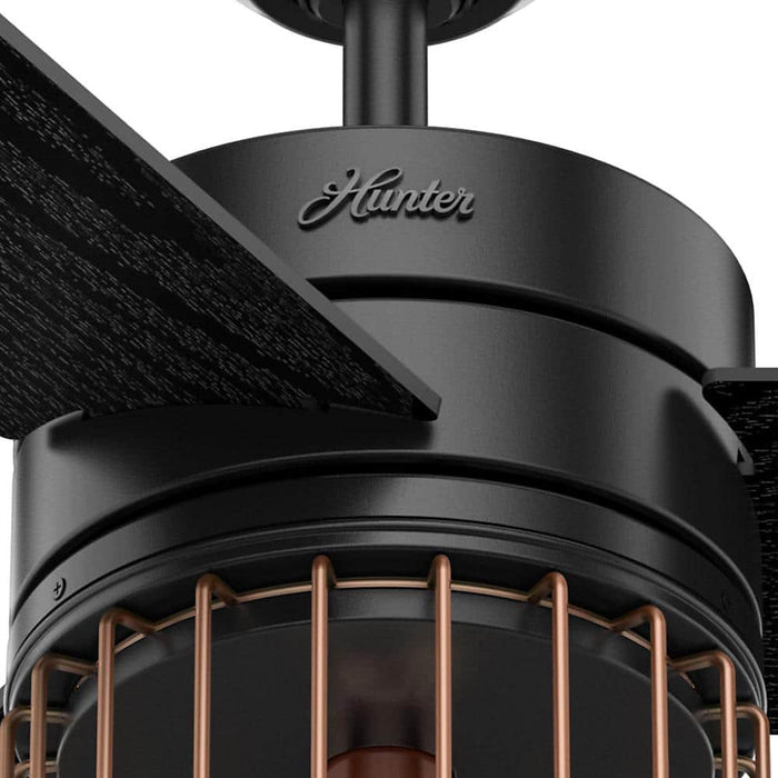 Hunter 52" Ronan Ceiling Fan with LED Light Kit and Handheld Remote