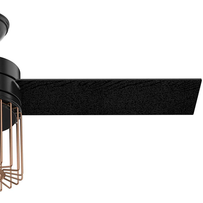 Hunter 52" Ronan Ceiling Fan with LED Light Kit and Handheld Remote