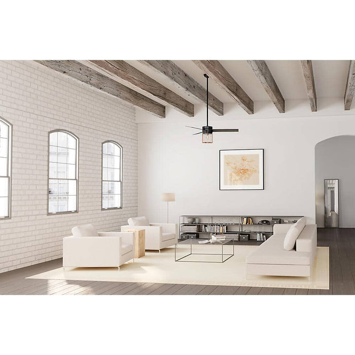 Hunter 52" Ronan Ceiling Fan with LED Light Kit and Handheld Remote