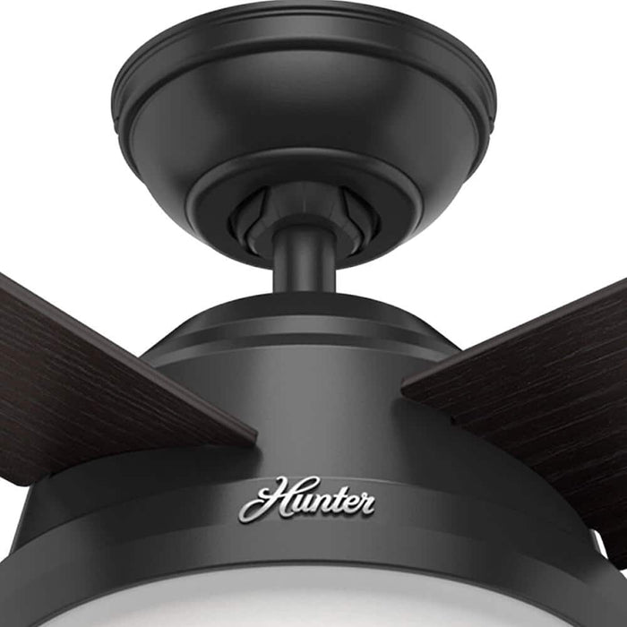 Hunter 52" Dempsey Ceiling Fan with LED Light Kit and Handheld Remote