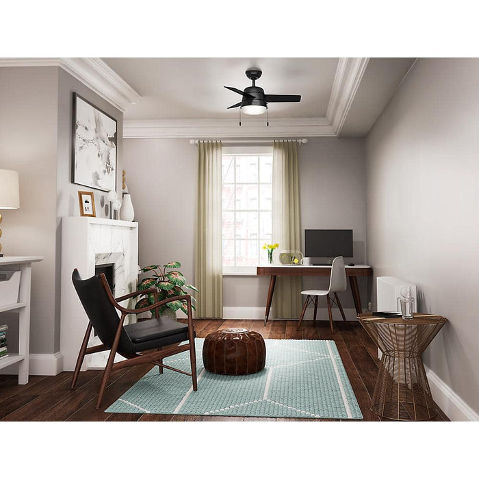 Hunter 36" Aker Ceiling Fan with LED Light Kit and Pull Chains