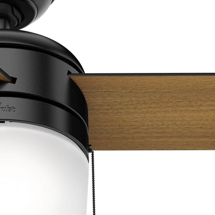 Hunter 42" Acumen Ceiling Fan with LED Light Kit and Pull Chains