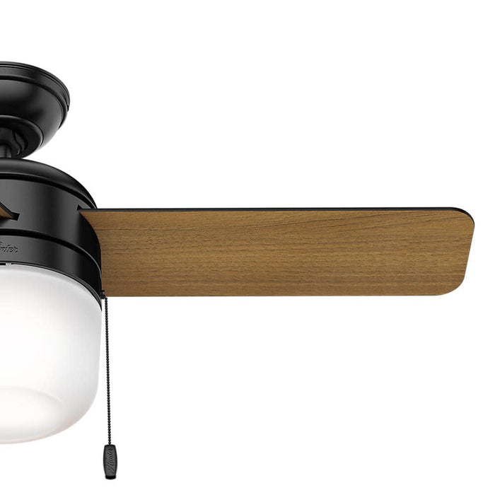 Hunter 42" Acumen Ceiling Fan with LED Light Kit and Pull Chains