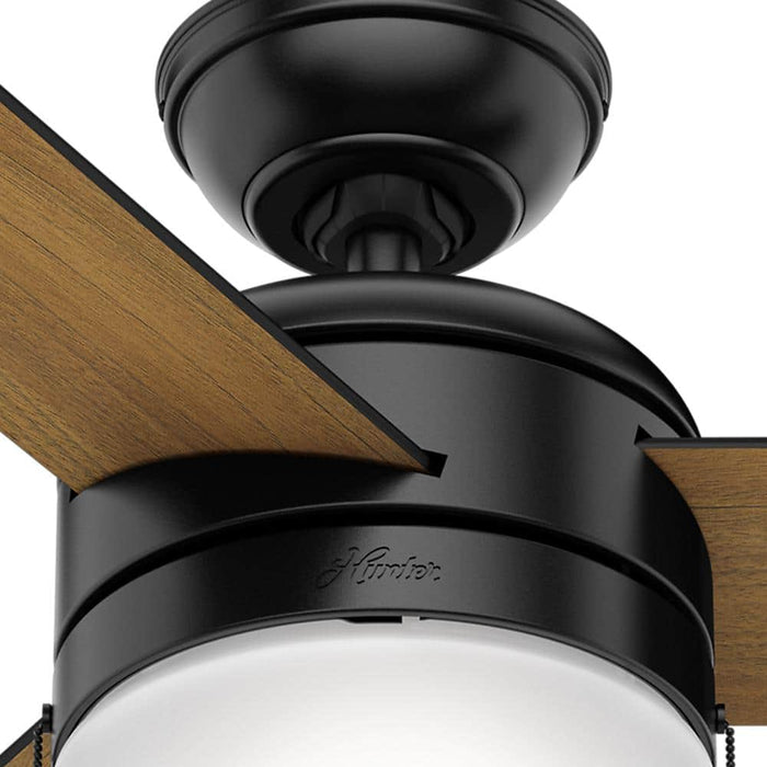 Hunter 42" Acumen Ceiling Fan with LED Light Kit and Pull Chains