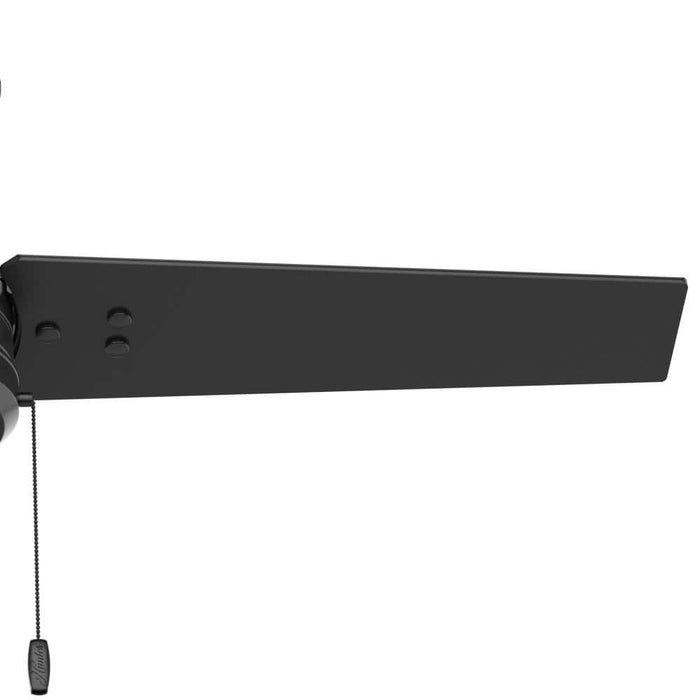 Hunter 44" Cassius Ceiling Fan with Pull Chains