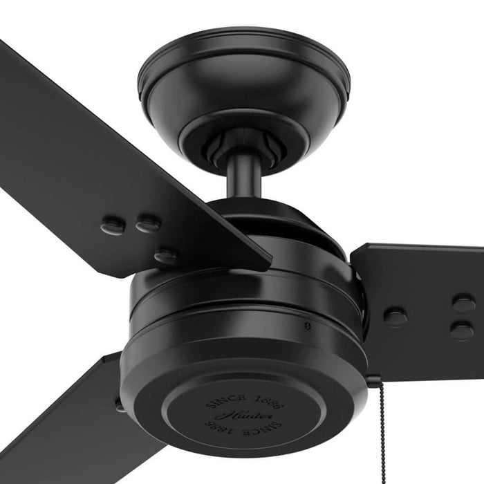 Hunter 44" Cassius Ceiling Fan with Pull Chains