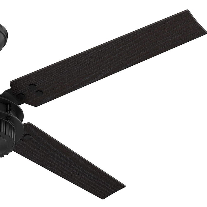 Hunter 54" Chronicle Ceiling Fan with Wall Control