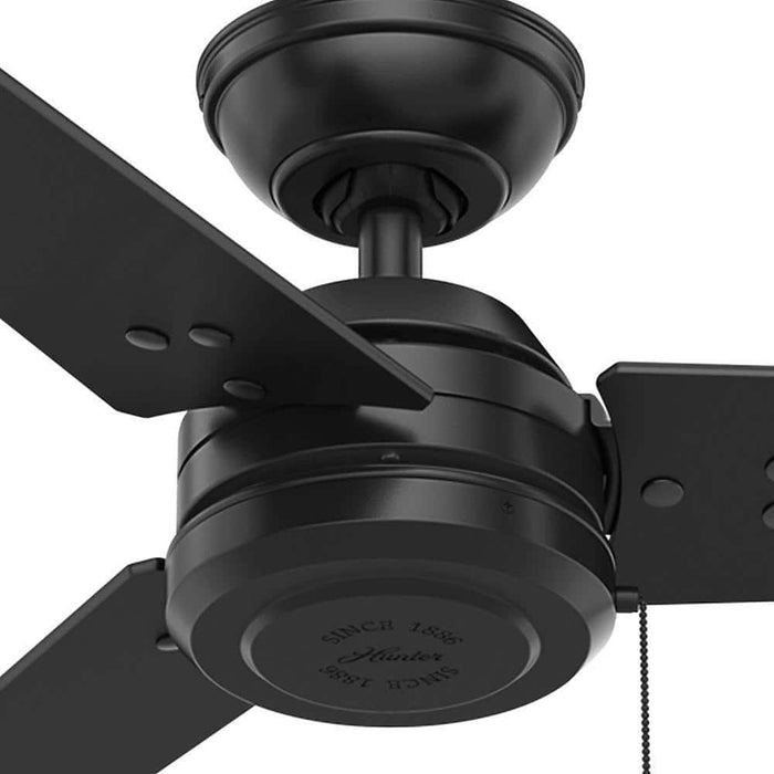 Hunter 52" Cassius Ceiling Fan with Pull Chains