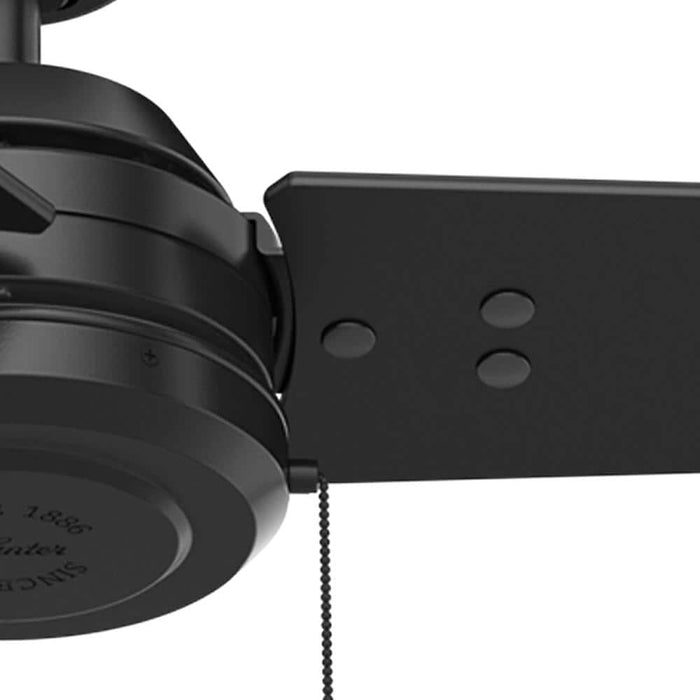 Hunter 52" Cassius Ceiling Fan with Pull Chains