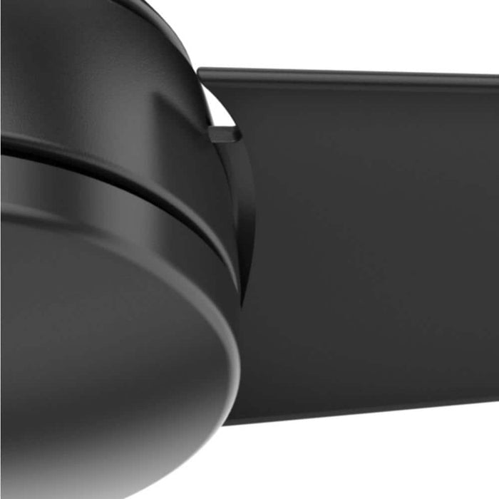 Hunter 52" Trimaran Ceiling Fan with Wall Control