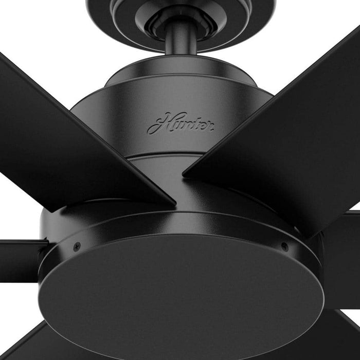 Hunter 44" Kennicott Ceiling Fan with Wall Control
