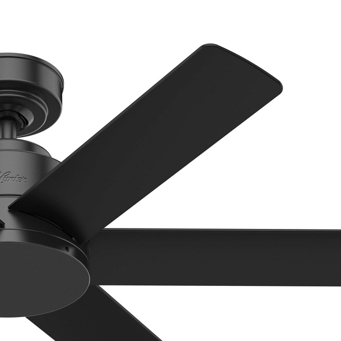 Hunter 44" Kennicott Ceiling Fan with Wall Control