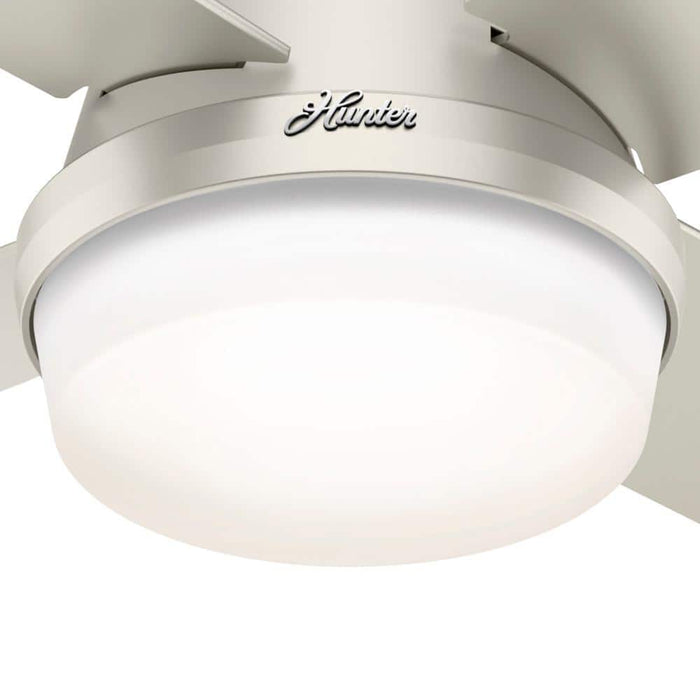 Hunter 44" Dempsey Outdoor Ceiling Fan with LED Light Kit and Handheld Remote