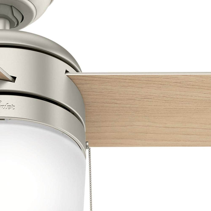 Hunter 42" Acumen Ceiling Fan with LED Light Kit and Pull Chains