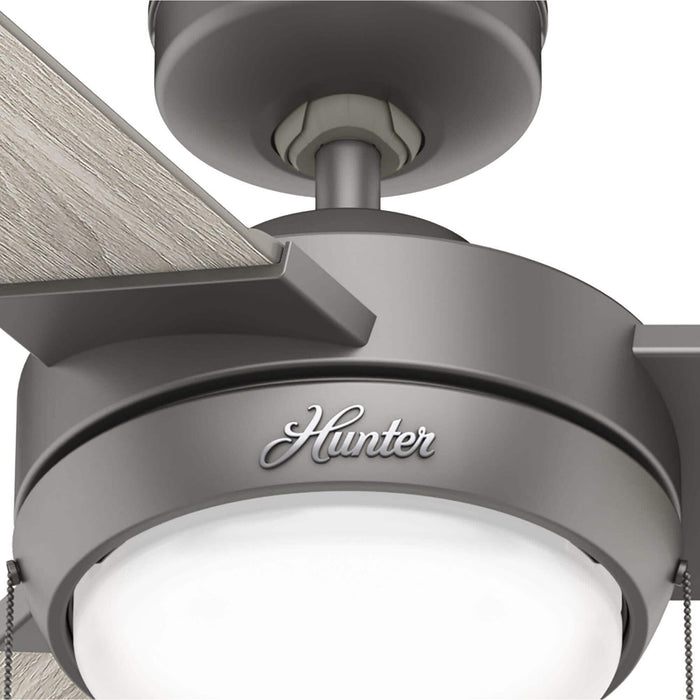 Hunter 52" Mesquite Ceiling Fan with LED Light Kit and Pull Chains