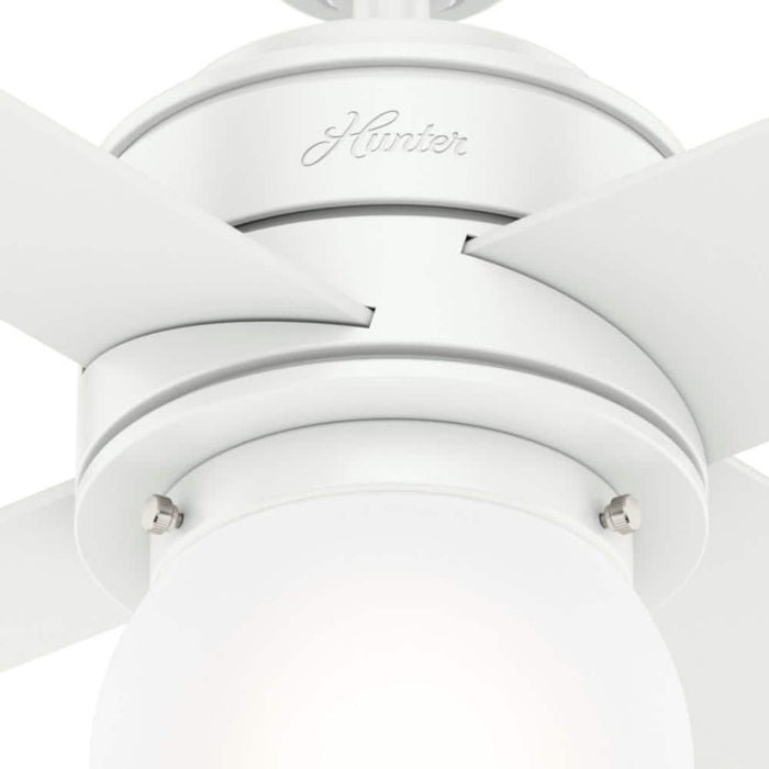 Hunter 44" Hepburn Ceiling Fan with LED Light Kit and Wall Control