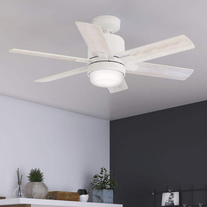 Hunter 44" Radeon Ceiling Fan with LED Light Kit and Wall Control