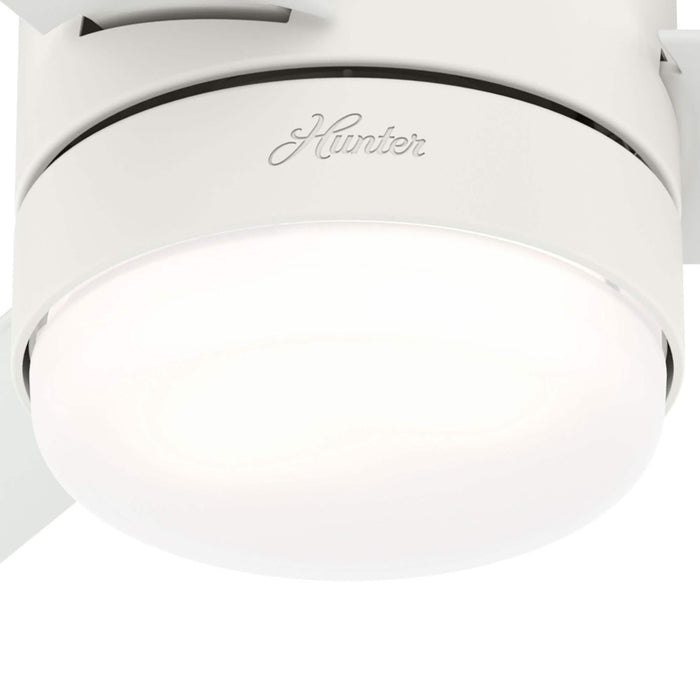 Hunter 44" Gilmour Ceiling Fan with LED Light Kit and Handheld Remote