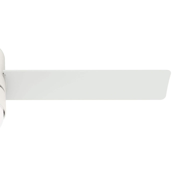 Hunter 44" Gilmour Ceiling Fan with LED Light Kit and Handheld Remote