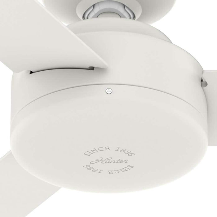Hunter 52" Presto Ceiling Fan with Wall Control