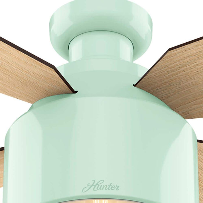 Hunter 52" Cranbrook Ceiling Fan with LED Light Kit and Handheld Remote