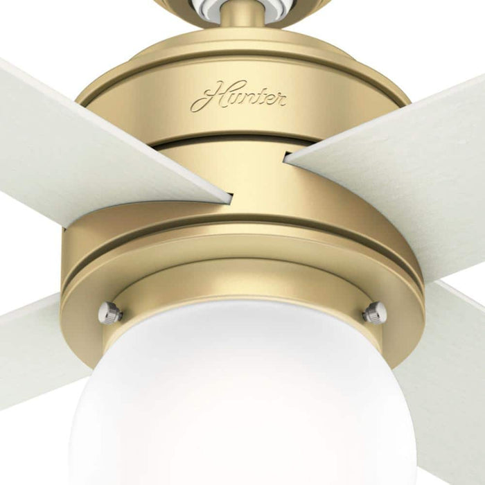 Hunter 44" Hepburn Ceiling Fan with LED Light Kit and Wall Control