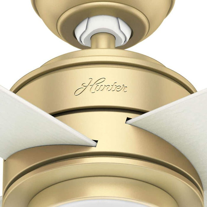 Hunter 52" Hepburn Ceiling Fan with LED Light Kit and Wall Control