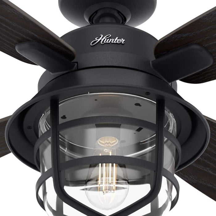 Hunter 52" Port Royale Ceiling Fan with LED Light Kit and Handheld Remote