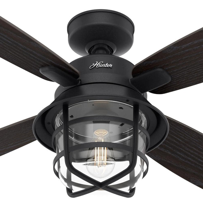 Hunter 52" Port Royale Ceiling Fan with LED Light Kit and Handheld Remote