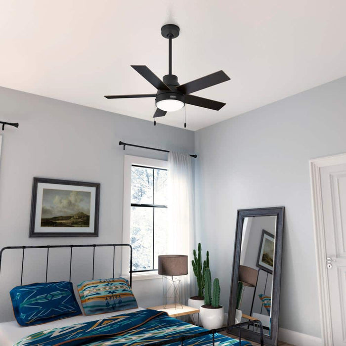 Hunter 44" Elliston Ceiling Fan with LED Light Kit and Pull Chains