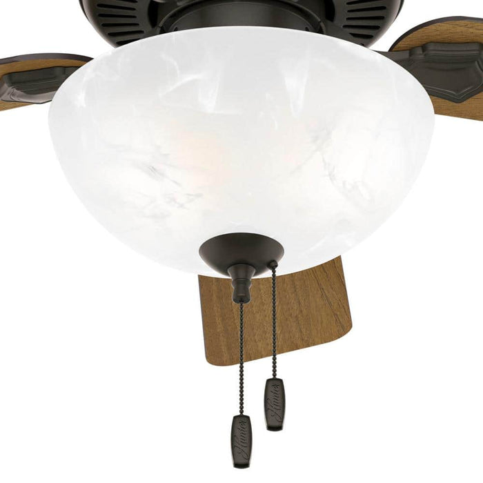 Hunter 44" Swanson Ceiling Fan with LED Light Kit and Pull Chains