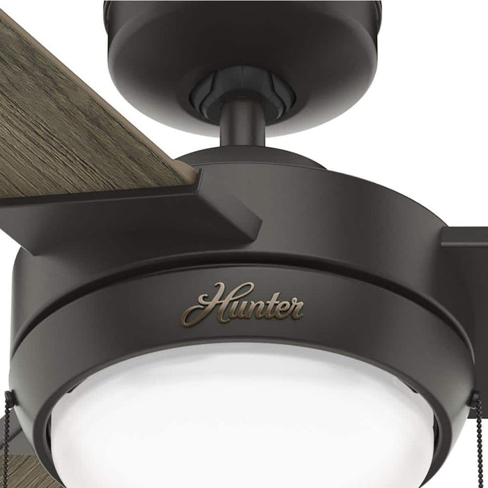 Hunter 44" Mesquite Ceiling Fan with LED Light Kit and Pull Chains