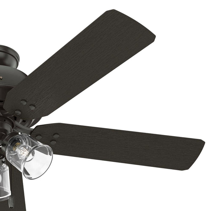 Hunter 52" River Ridge Ceiling Fan with LED Light Kit and Pull Chains