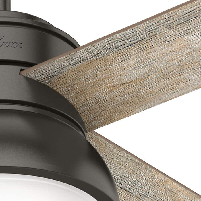 Hunter 36" Loki Ceiling Fan with LED Light Kit and Pull Chains