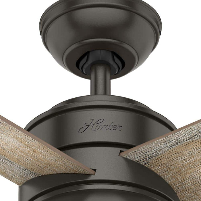 Hunter 36" Loki Ceiling Fan with LED Light Kit and Pull Chains