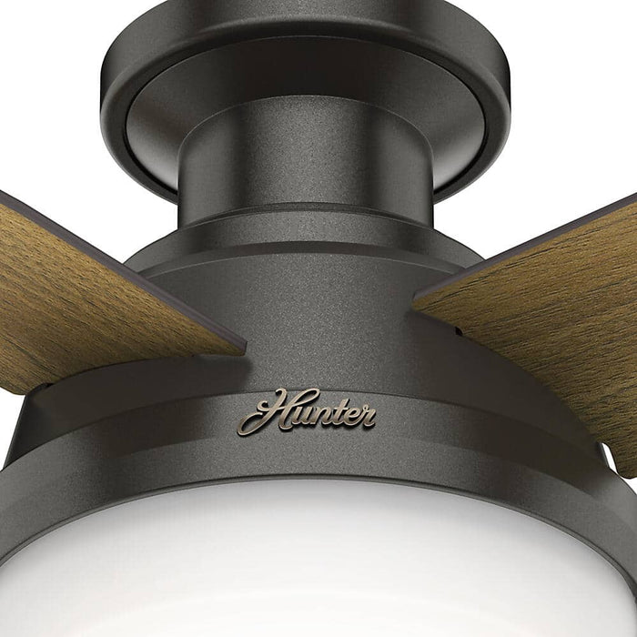 Hunter 44" Dempsey Interior Ceiling Fan with LED Light Kit and Handheld Remote