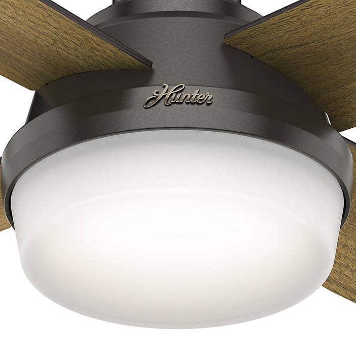 Hunter 52" Dempsey Low Profile Ceiling Fan with LED Light Kit and Handheld Remote