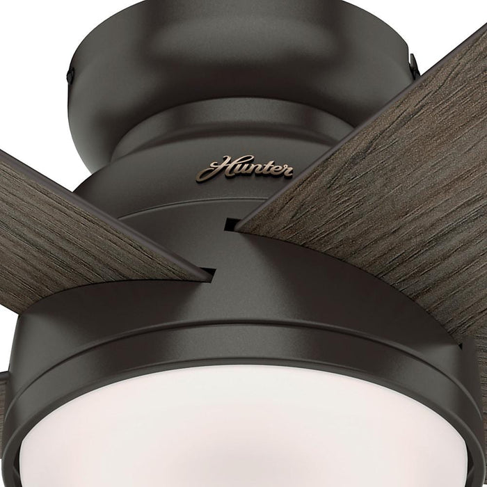 Hunter 54" Romulus Hugger Ceiling Fan with LED Light Kit and Handheld Remote