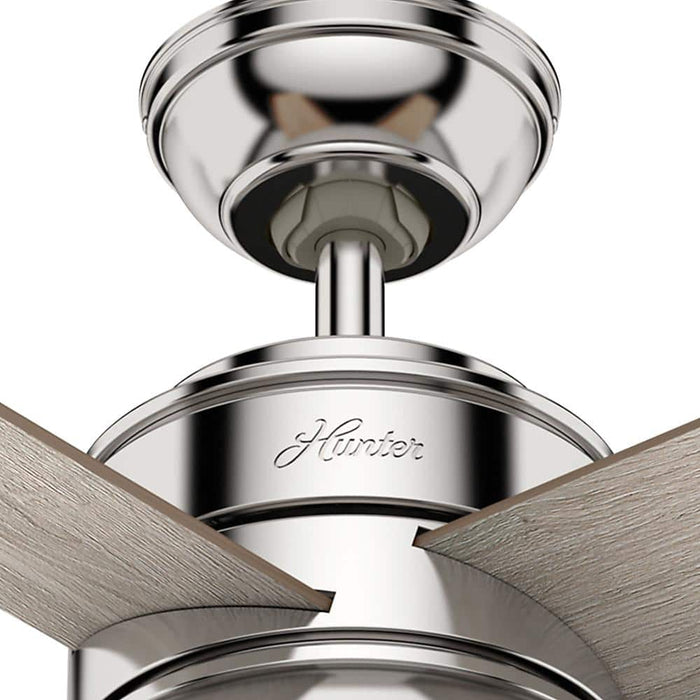 Hunter 36" Loki Ceiling Fan with LED Light Kit and Pull Chains