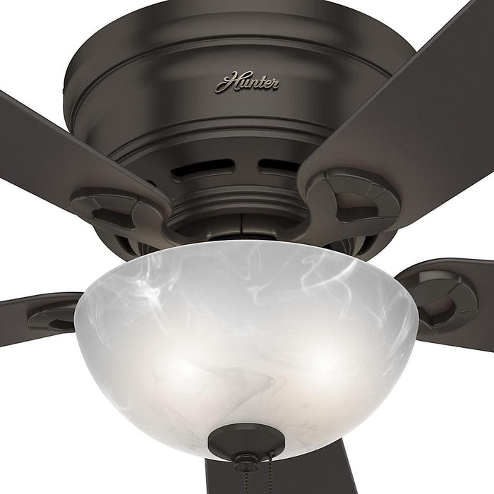 Hunter 42" Haskell Ceiling Fan with LED Light Kit and Pull Chains